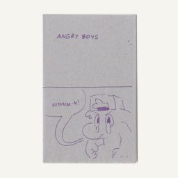 Cover image for "Angry Boys"